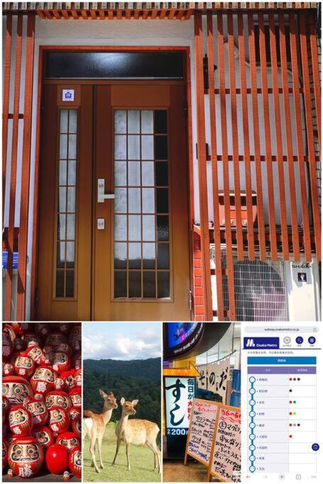 Appartement 鯉